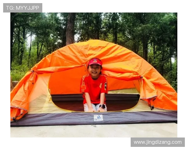 letou乐投天下：如何在乐投天下平台上实现稳定盈利的实用技巧