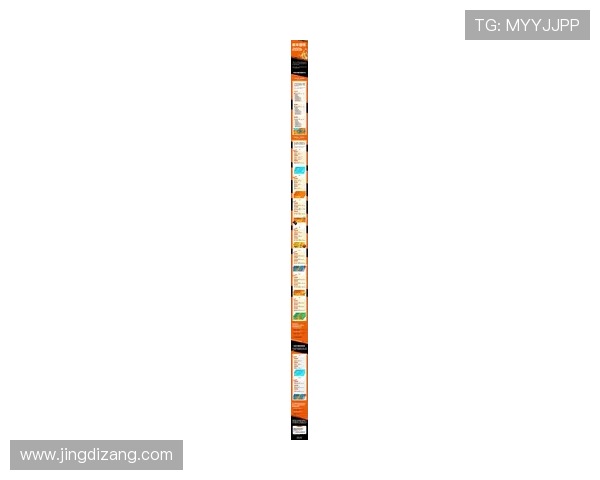 ld体育官方入口全面解析，助你轻松掌握平台功能与最新优惠活动