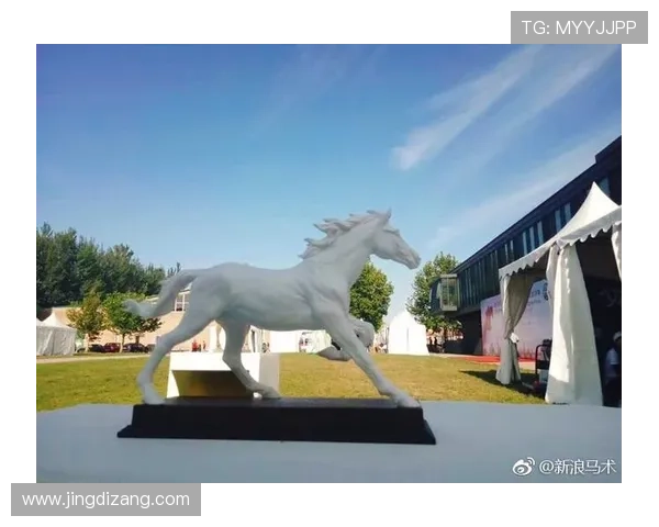 乐冠体育服务有限公司在体育赛事策划与推广方面具有丰富经验，助力客户提升赛事影响力与品牌价值