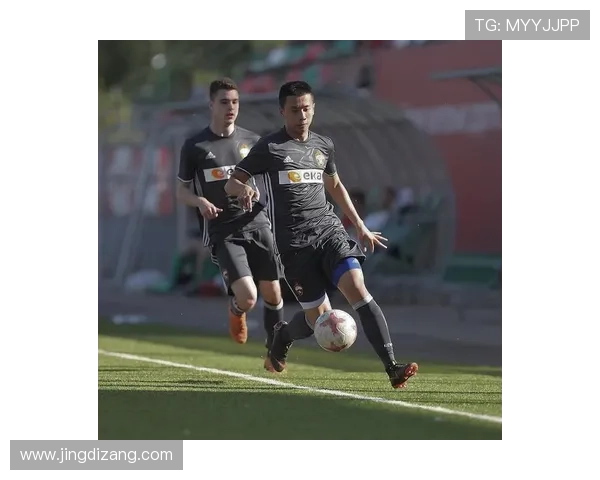 乐投letou最新米兰球队阵容深度解析助你了解米兰核心球员